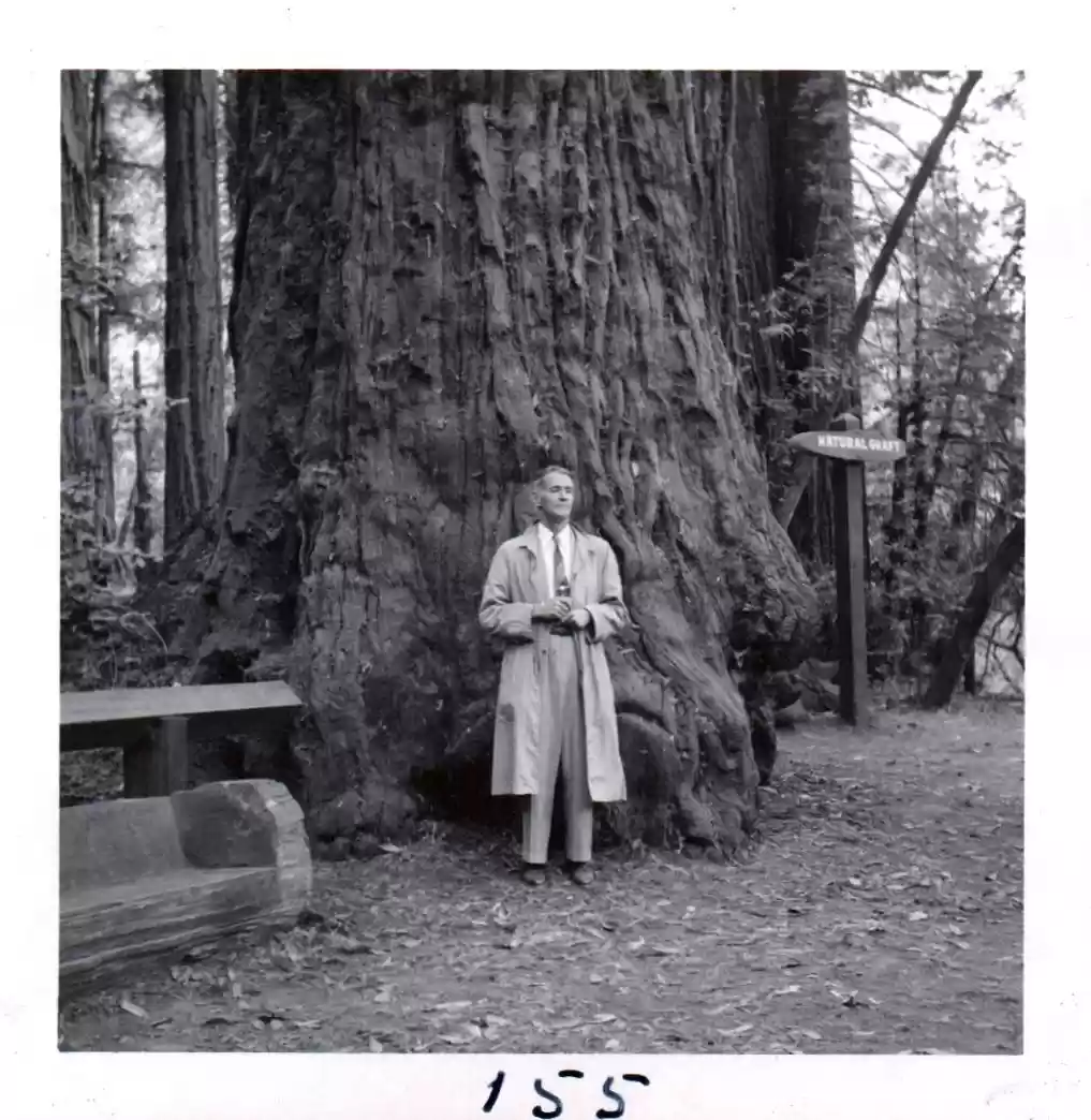 155-On way home; Eddie Eckert, by big tree at Felton, Calif.